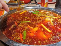 -蜀滋香鲜鱼美蛙火锅(339店)