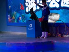 -石家庄海洋公园