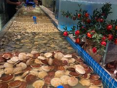 -一方渔歌蒸汽海鲜自助(文化路万达广场店)