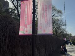 -元大都城垣遗址公园