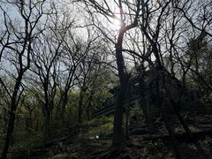 -句容茅山景区