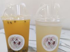 -Husky Go! 哈士奇体验馆·宠物咖啡厅狗咖