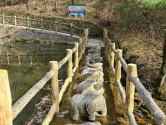-王顺山国家森林公园