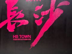 -华谊兄弟（长沙）电影小镇