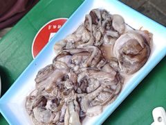 -一口猪海鲜浑锅·东北家常菜