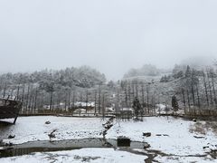 -东白山