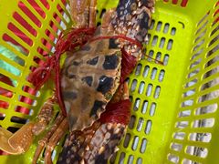 -肥婆海鲜店(三亚国际购物中心店)