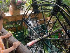 -园林美食城·本土农家菜(杨和镇店)