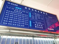 -武汉关码头(轮渡站)