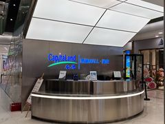 -凯德MALL(望京店)