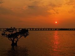 -宝安西湾红树林湿地公园