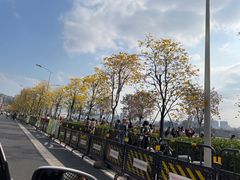 -洲头咀公园