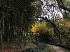 -兰亭风景区