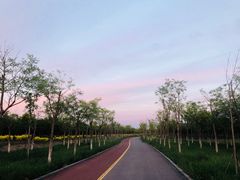 -天津东丽湖风景区