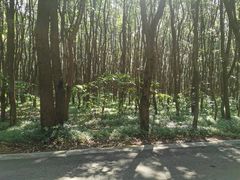 -同里国家湿地公园