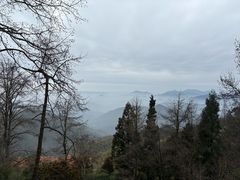 -莫干山风景区