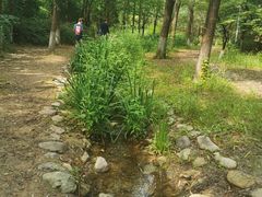 -云岗森林公园