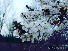 -汉长安城未央宫国家考古遗址公园