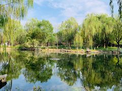 -范蠡湖公园