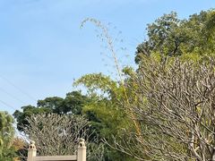 -晓港公园