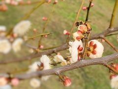 -蜀冈西峰生态公园