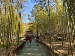 -陶祖圣境风景区
