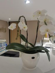 -广东韩妃整形外科医院