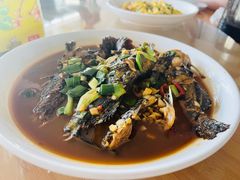 红烧昂刺鱼-领鲜土菜馆