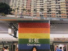 -彩虹村