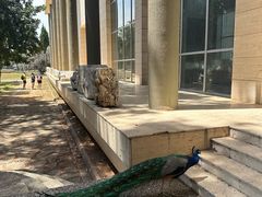 -安塔利亚博物馆