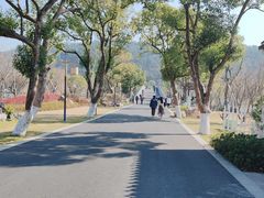 -东钱湖小普陀景区