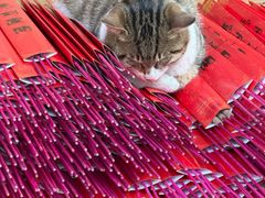 -龙华素斋(龙华路店)