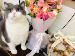 -小苍兰风铃草蛋糕甜品(沈阳店)