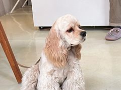 -小意思咖啡店(草桥店)