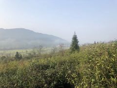 -塔川景区