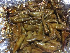 土窑鸡翅尖-临高吉海土窑海鲜(琼山店)