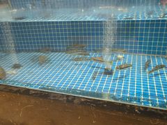 -浙江三立开元名都大酒店·四季轩中餐厅