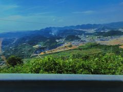-武陵山森林公园