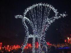-飞凤山奥体公园