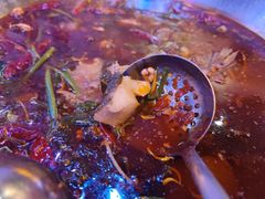 -红牌美蛙鱼头火锅(万辉国际广场店)