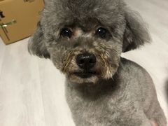 -熊小胖宠物生活馆(天华园店)