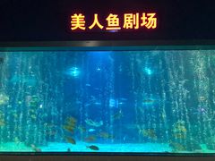 -福州罗源湾海洋世界旅游区