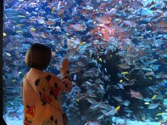 -成都浩海立方海洋公园