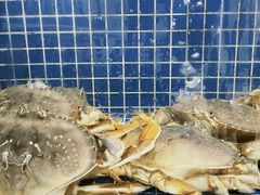 -明记海鲜大排档(巽寮湾店)