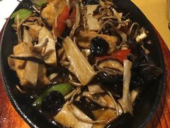 -素虎小呆鸟(西二旗店)