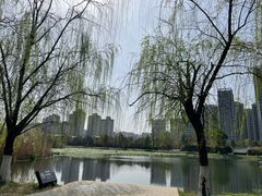 -洋湖国家湿地公园