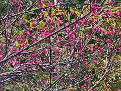 -东坡赤壁风景名胜区