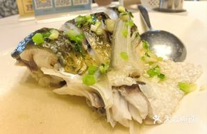 Oil and Salt Steamed Fish Belly