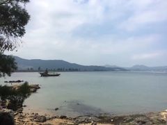 -东山珍珠岛