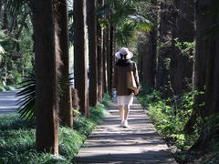 -同里国家湿地公园